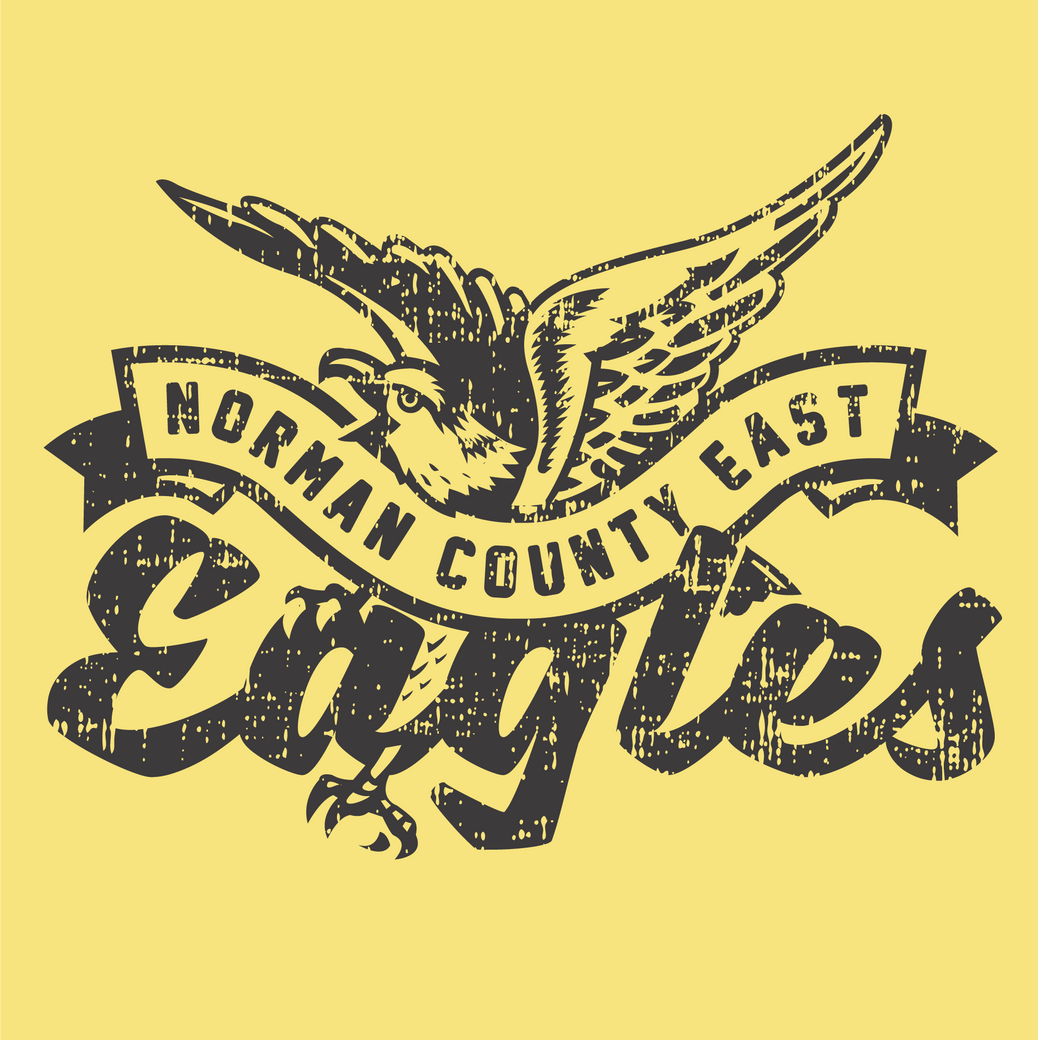 Norman County East Eagles Vintage Tee – Retro College Mascot Shirt
