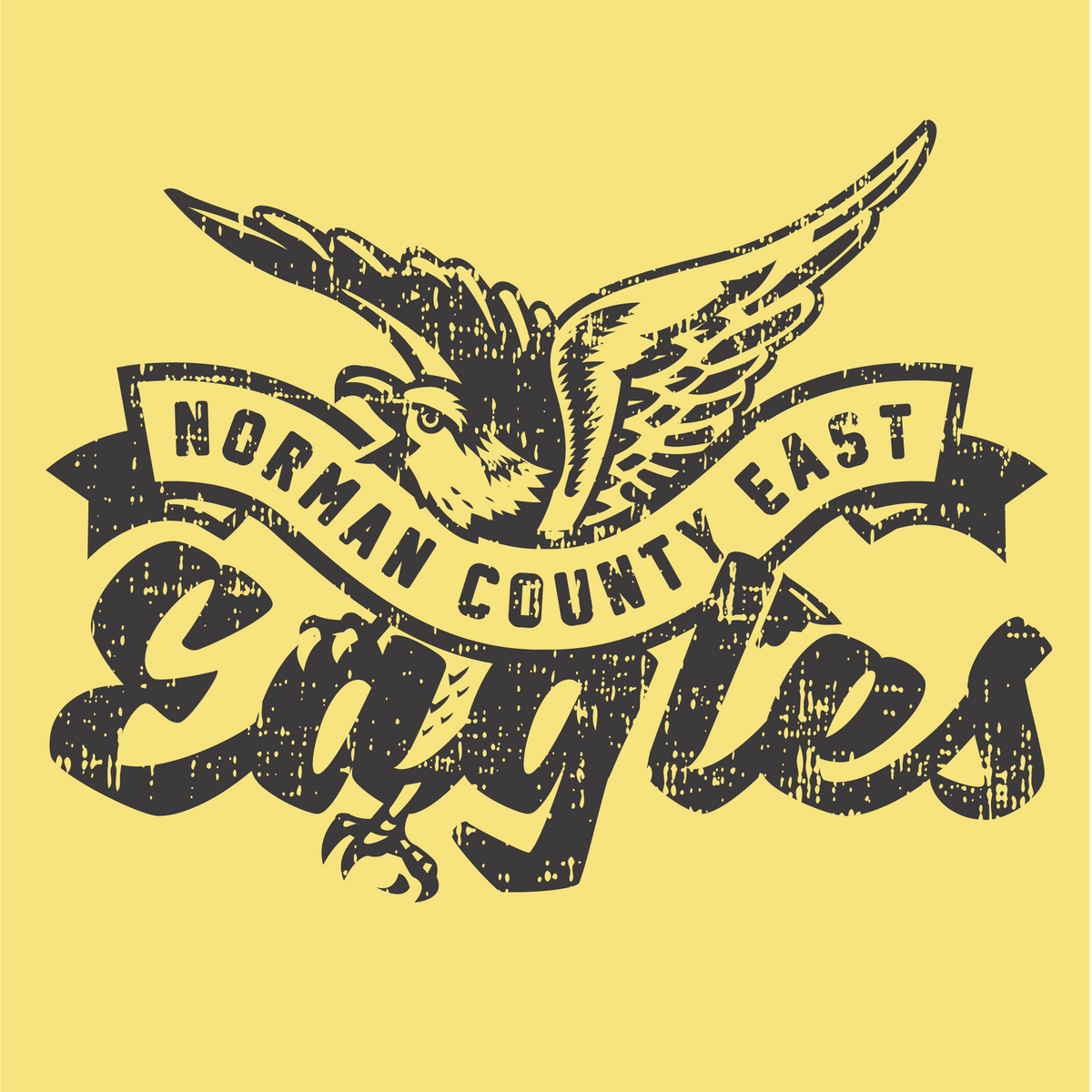 Norman County East Eagles Vintage Tee – Retro College Mascot Shirt