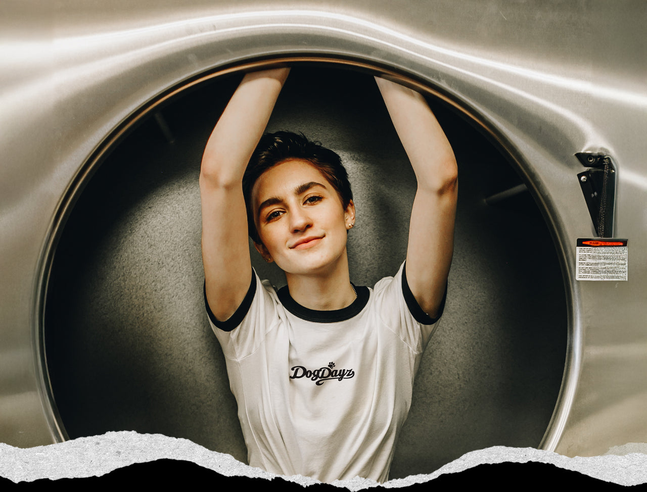 DogDayz Hero Background